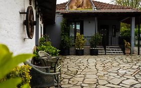 Country Side Cozy Villa